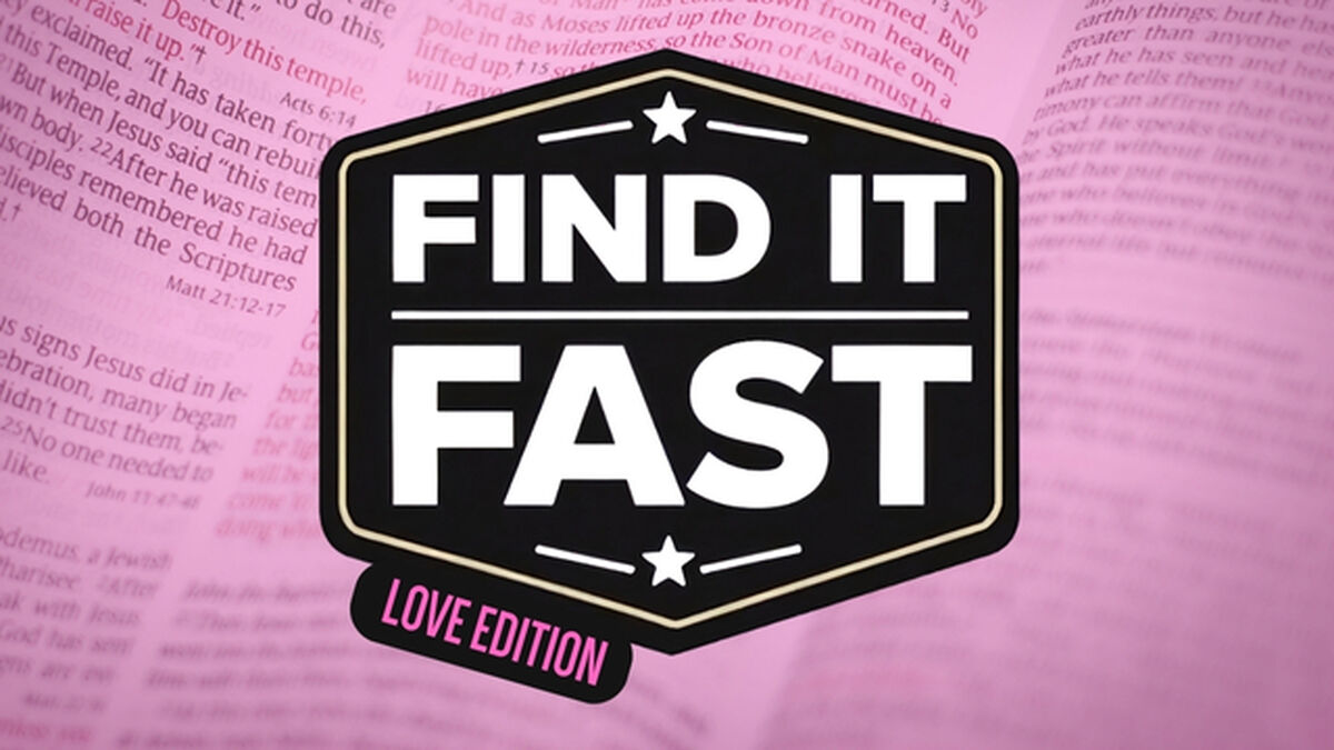 Find It Fast: Love Edition image number null